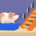 Hamster Stack Maze 10 hamster stack maze